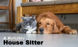 How To Find A Reliable House Sitter