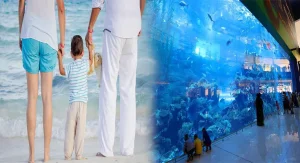 Family-Friendly Vacation Destinations in the United States